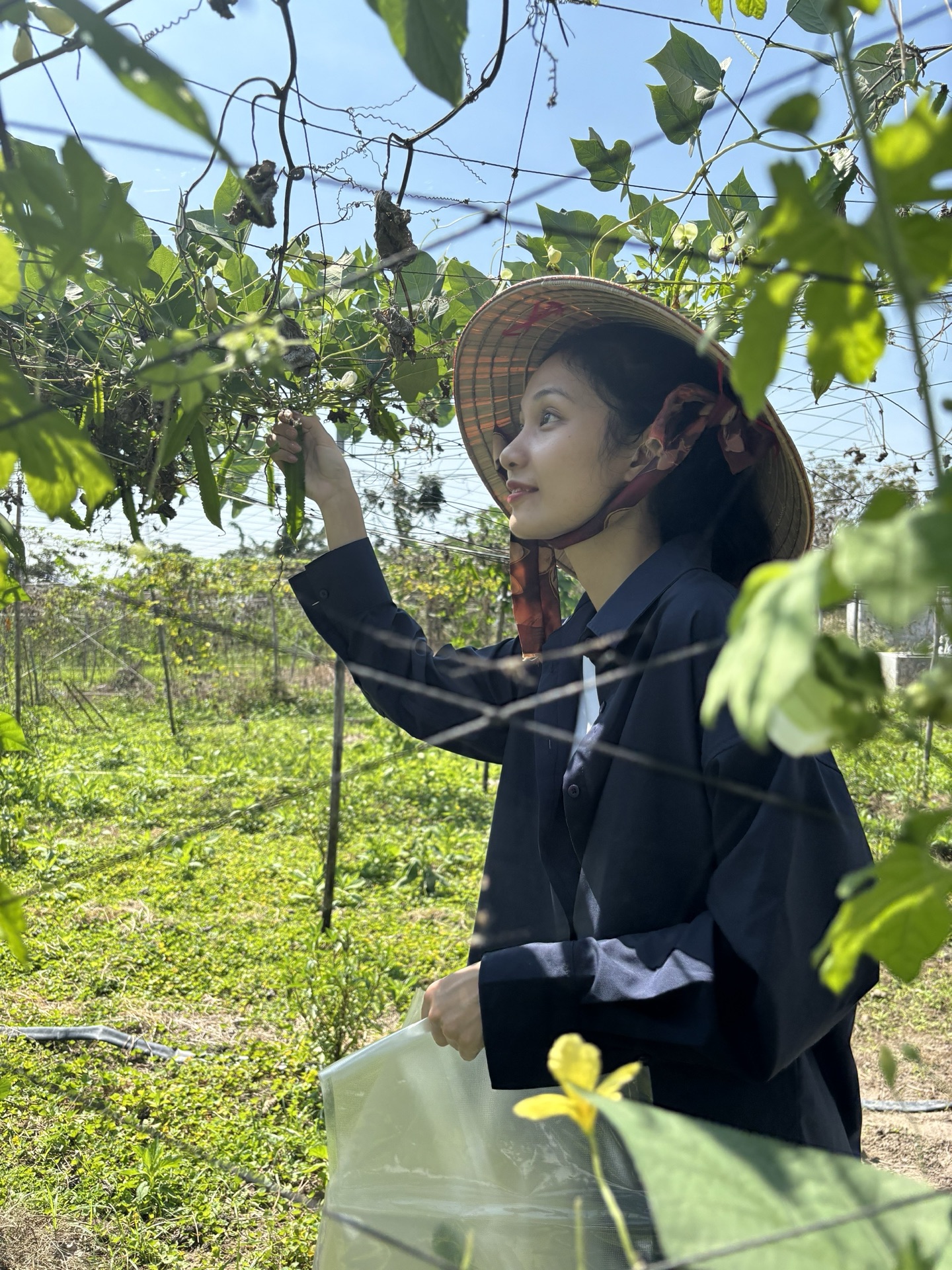 Hành trình của Hana